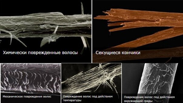 открытый источник