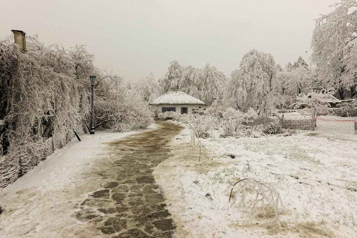 Все фотографии в статье мои