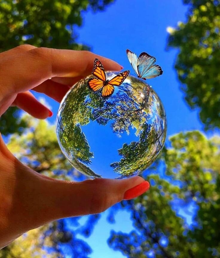 Природа,небо,лес и руке земной шар.