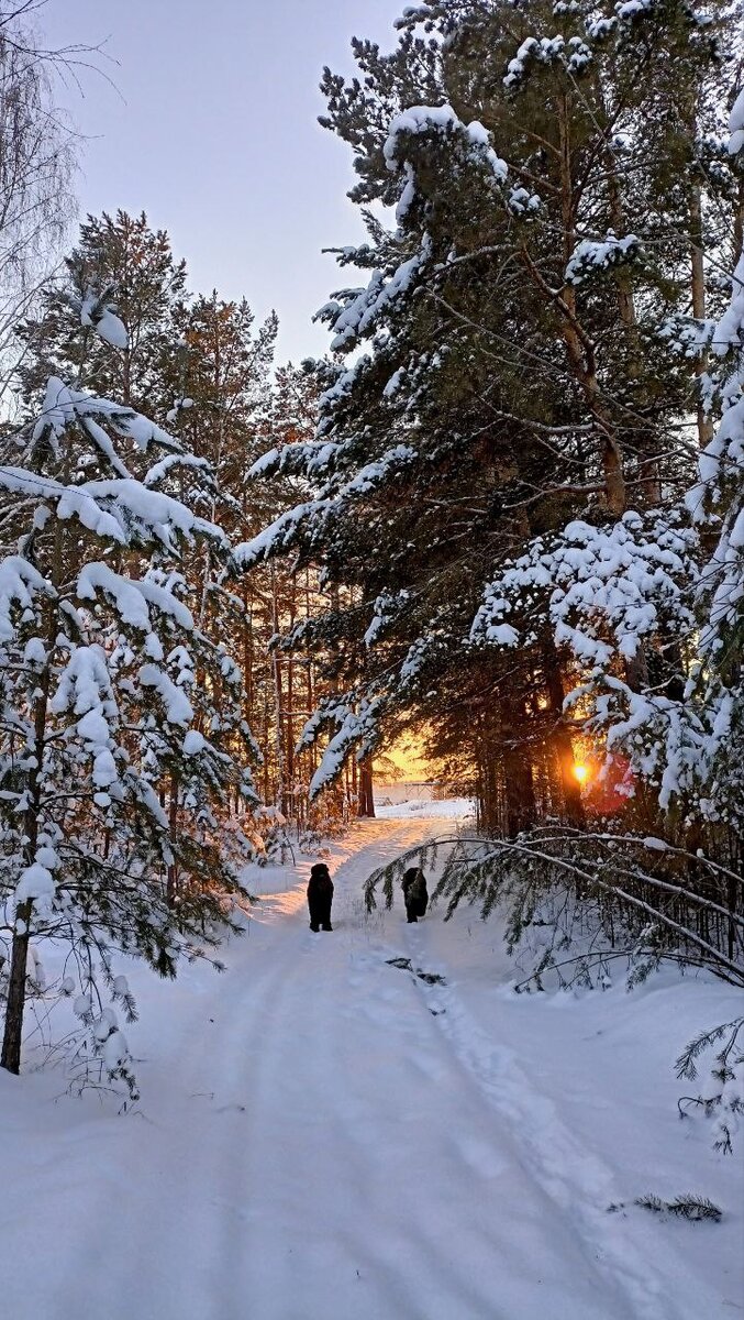 Топуш и Молли. Они живут у Натальи Фирсовой, в Курганской области, в деревне Малая Горбунова. Фото Натальи
