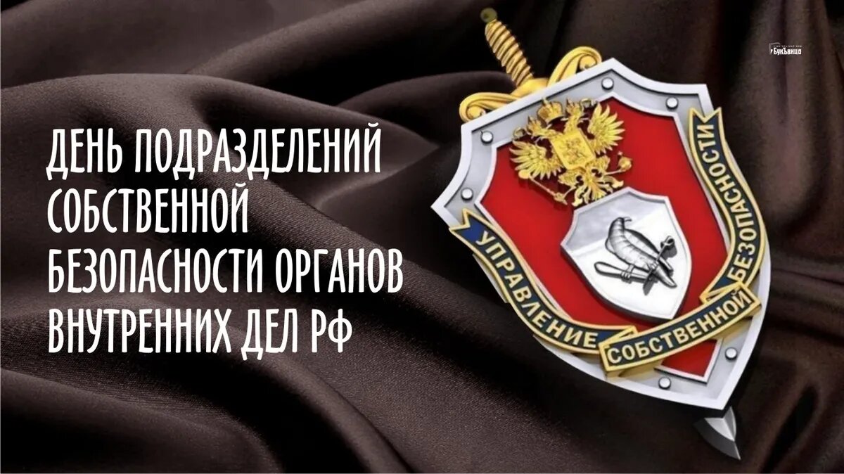 День подразделений собственной безопасности МВД России. Иллюстрация: «Весь Искитим»