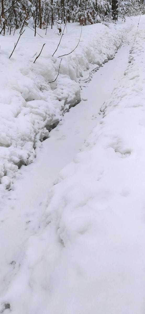     Фото: Lala Morozova/News69