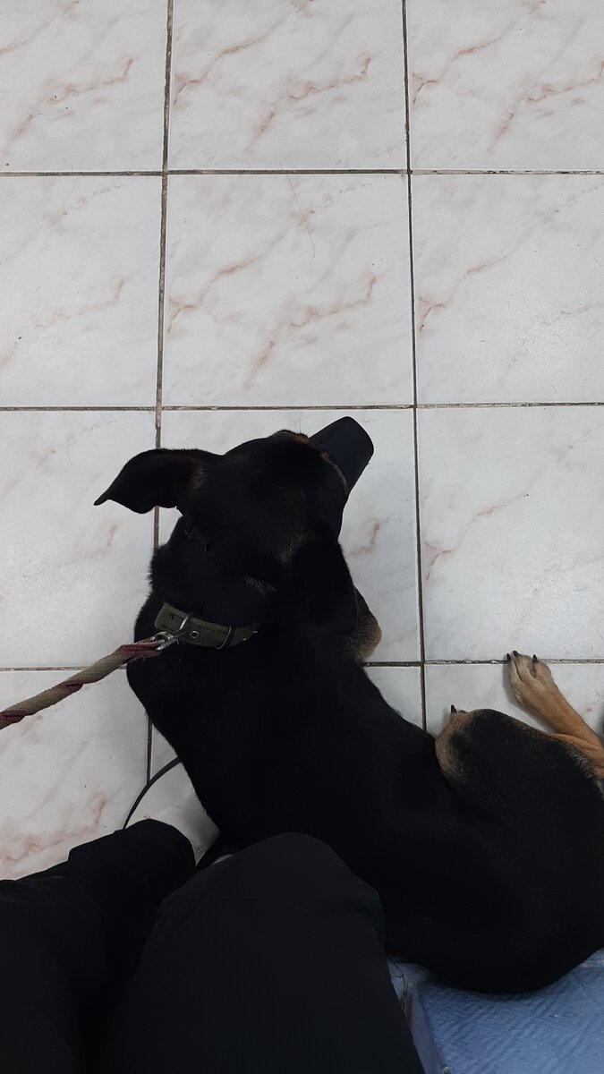 Мой единственный мужчина 😍