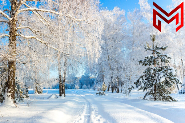 «Образ зимы - символ красоты и загадки» — создано в Шедевруме