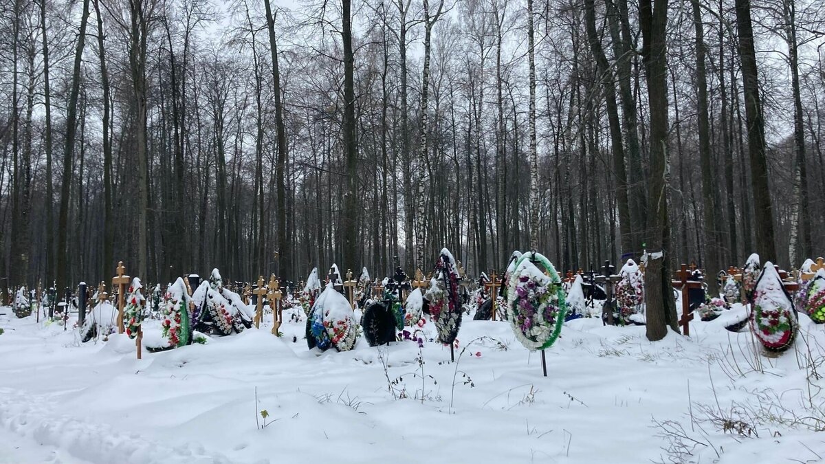     В Казани на валку и вырубку аварийных деревьев на городских кладбищах выделили 3,8 млн рублей. Такая информация содержится в документации на портале госзакупок.