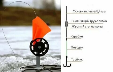 Фото с сайта: https://avatars.mds.yandex.net