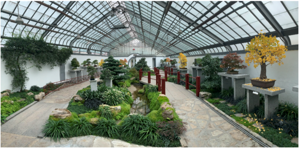 В Монреальском бртаническом саду.
Источник: https://www.bonsai-nbf.org/blog-archive/tag/Montreal+Botanical+Garden
