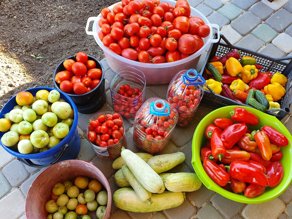 Осенний сбор урожая