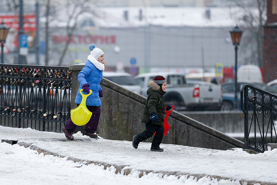 Фото: Виталий Невар / Новый Калининград