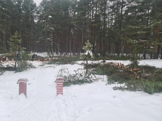     Фото здесь и далее: Светлана Бисултанова
