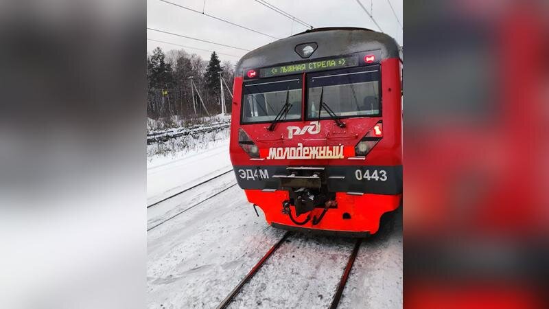    Фото: пресс-служба комитета по физической культуре и спорту Санкт-Петербурга