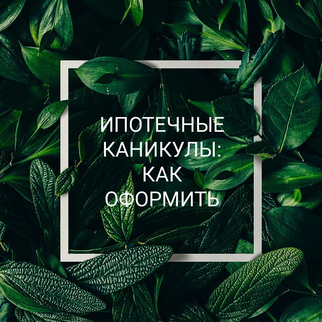 Что нужно делать, чтобы оформить ипотечные каникулы в банке?