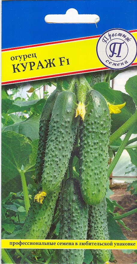 Семена огурцов