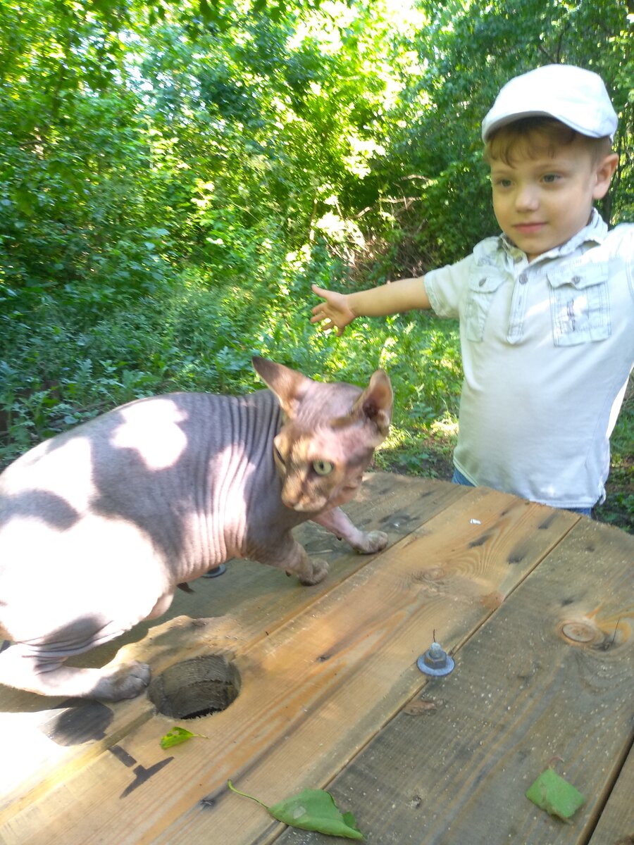 Фото автора, Марсик с братом