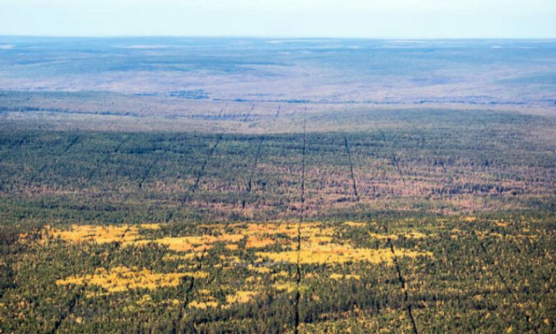 Идеально ровные линии в Якутской лесотундре.