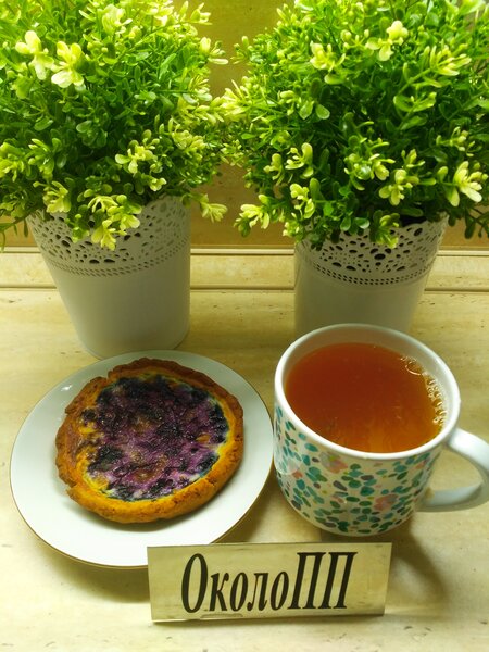 Фотография ватрушки с черникой