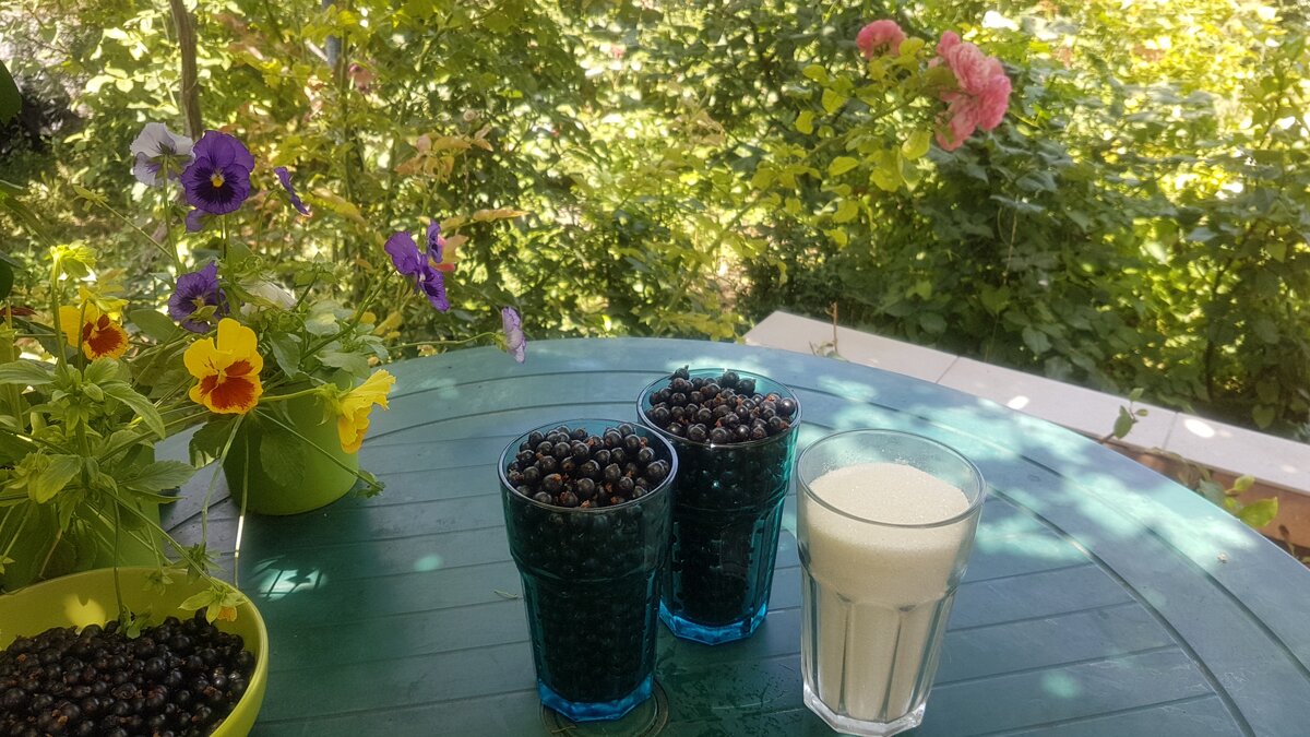 Ягоды и сахар для желе. Фото Е.Миговой.