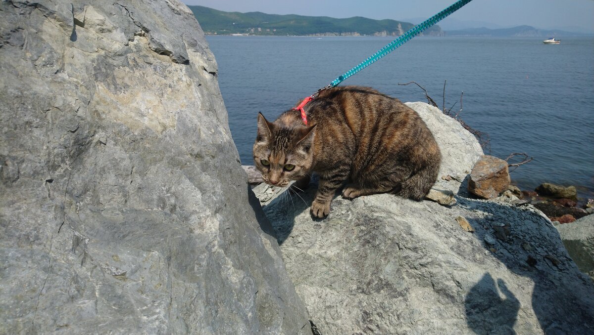 Наша путешественница (у нее есть, к стати, инстаграм)