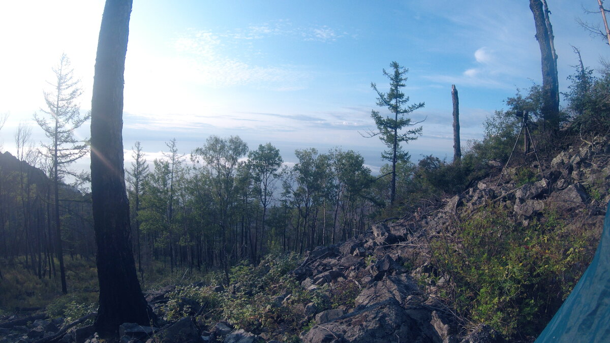 Куча ровных мест! Ложись и спи!