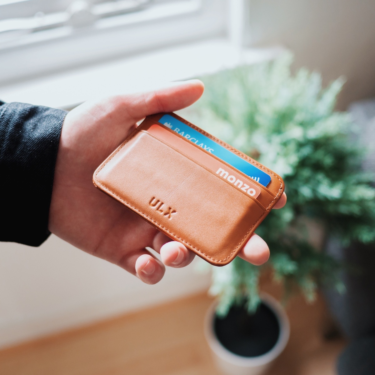 https://unsplash.com/photos/Z8I-BhVtzn0