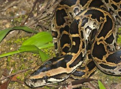 фото yandex.ru/collections/card/5a30632e8cb1f700a0179467