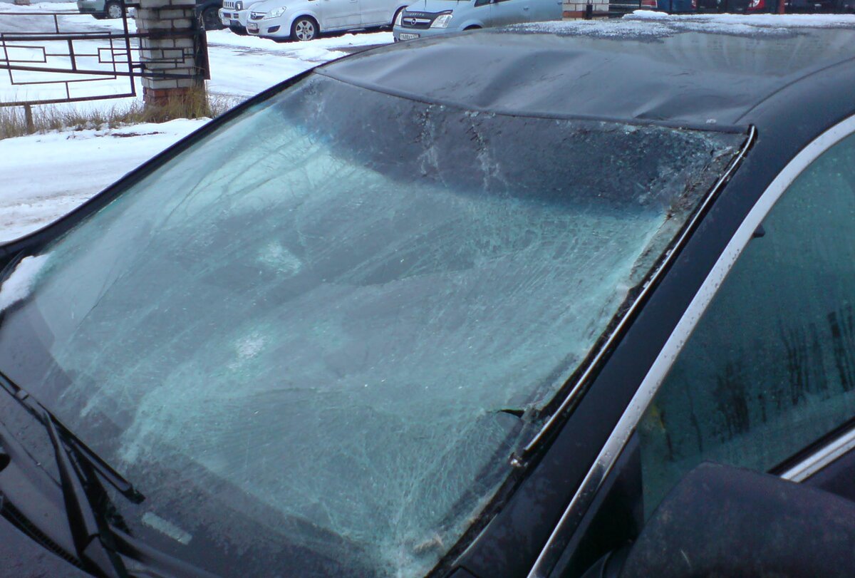 Лобовое стекло уцелело