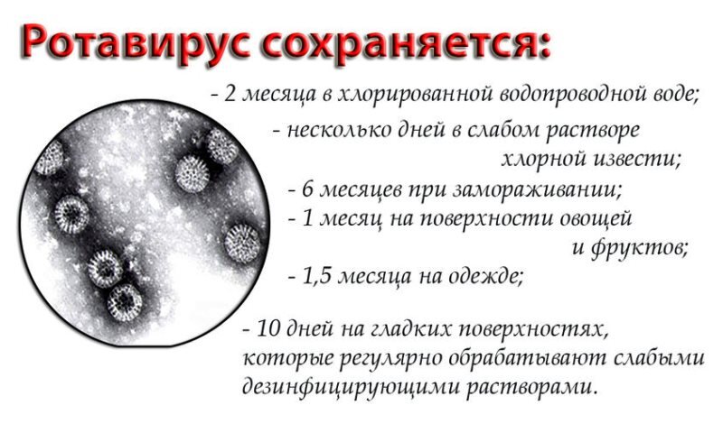 Ротавирус: как передается, симптомы, лечение, профилактика