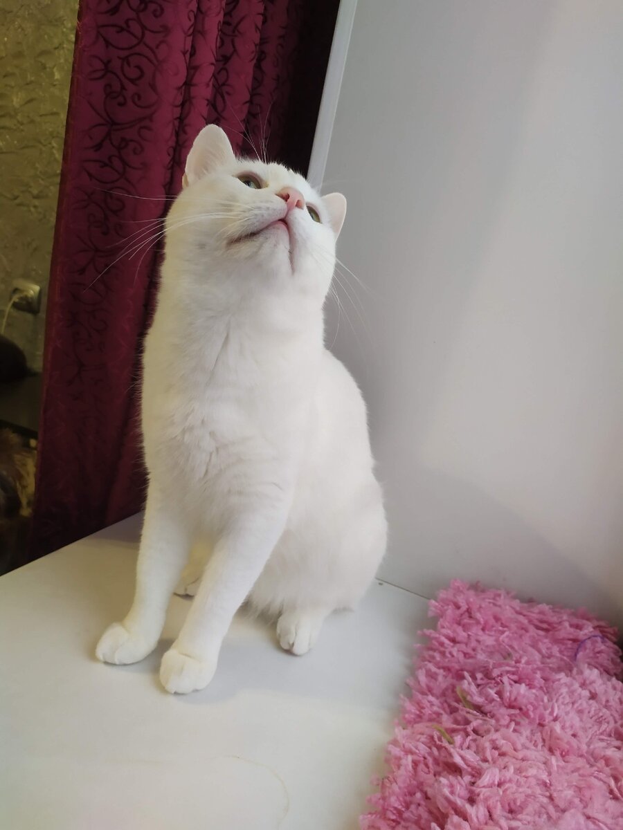 Сладенький Василёчек)