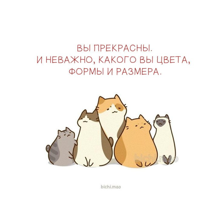Изображение взято из открытых источников.