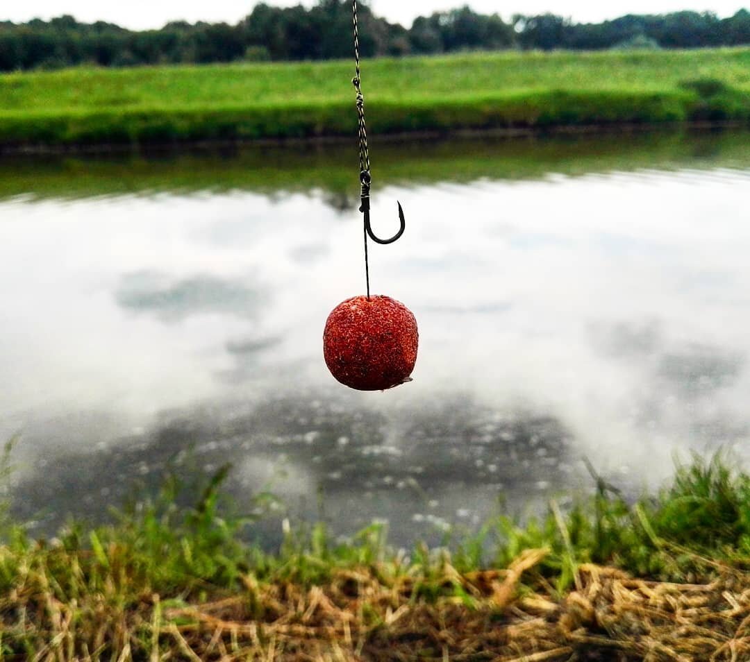 наживка бойл