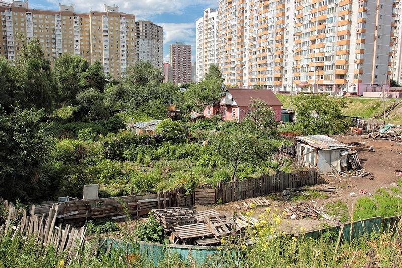 Среди дворов. Позняки Киев свинарник. Свинарник на Позняках.