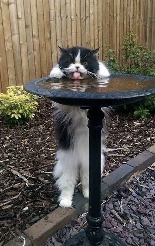 Фото с сервера Яндекс.Картинки