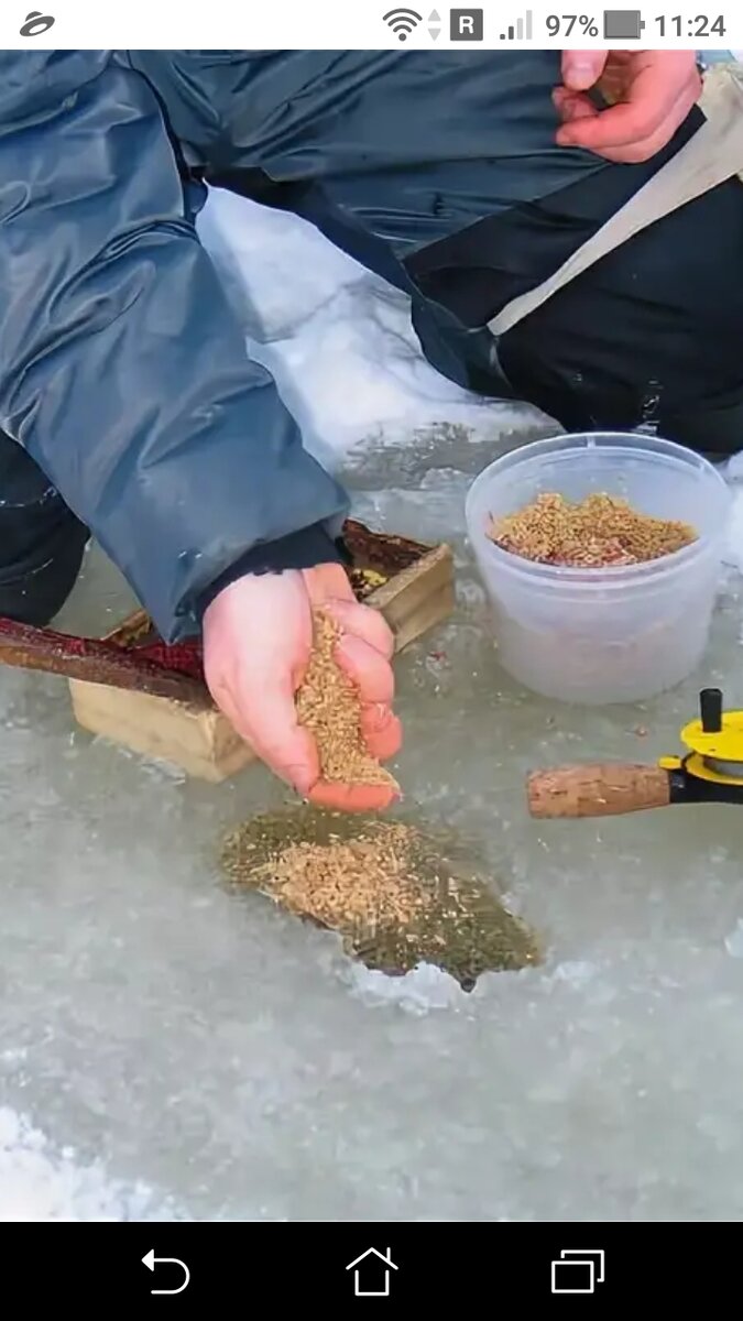 Зимняя прикормка для плотвы своими руками