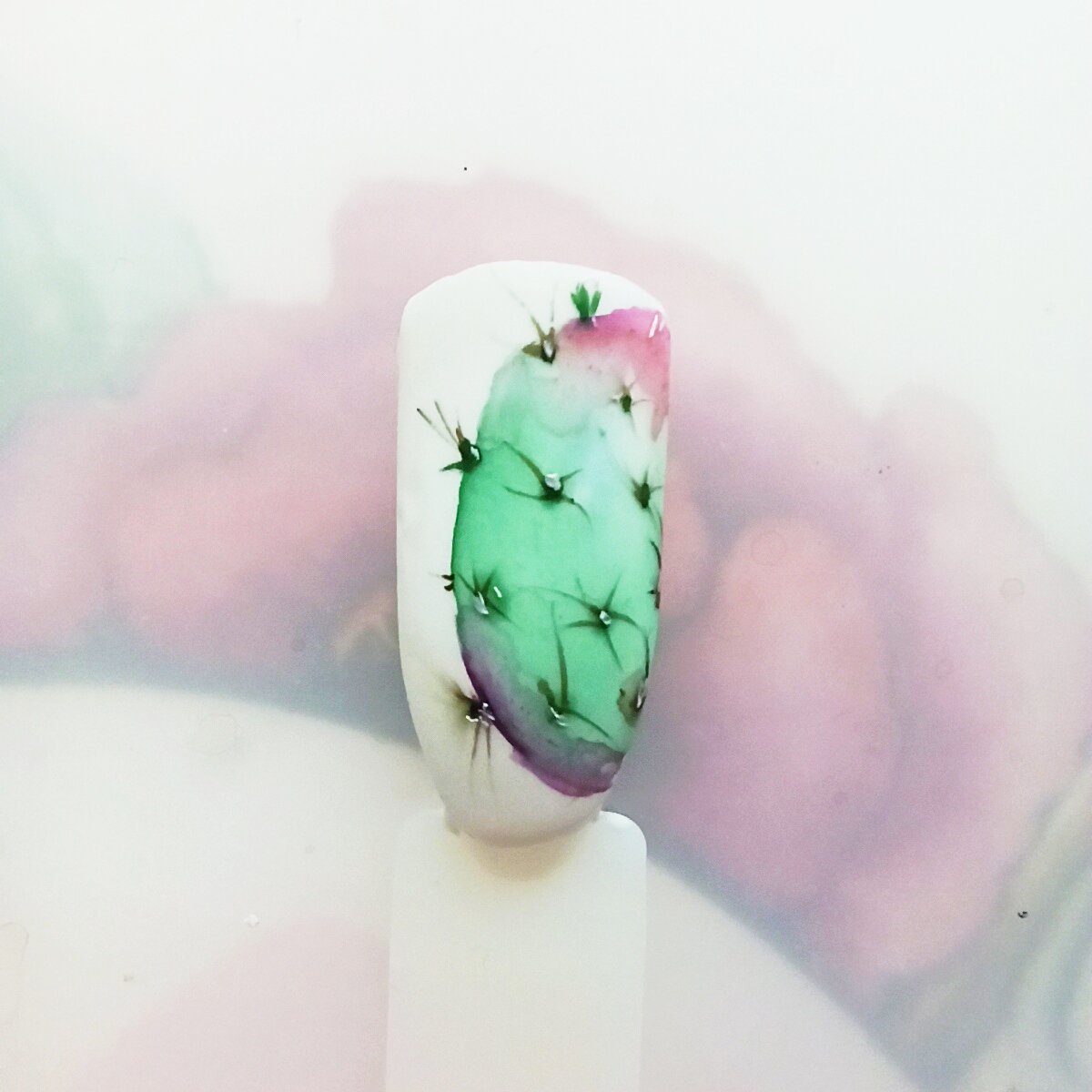 Фото автора 🌵