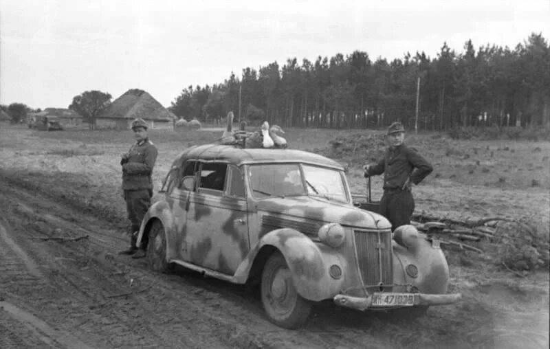 Фотография использована в качестве иллюстрации.