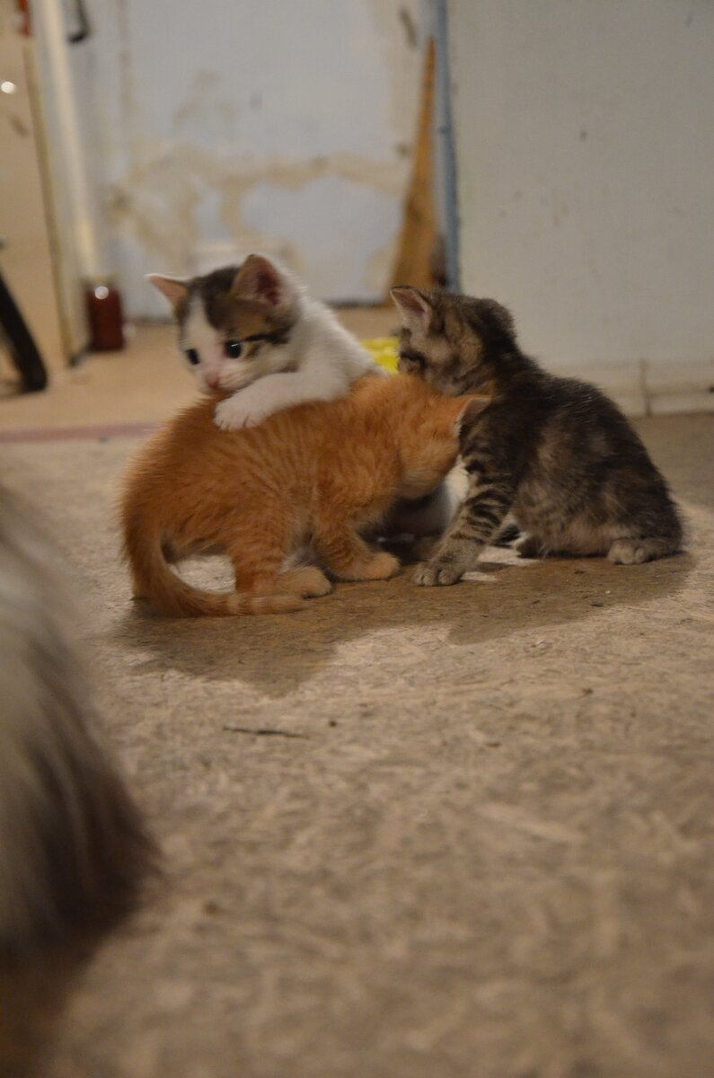 Фото от автора.