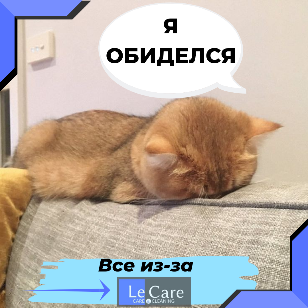 Удаление стойкий неприятных запахов