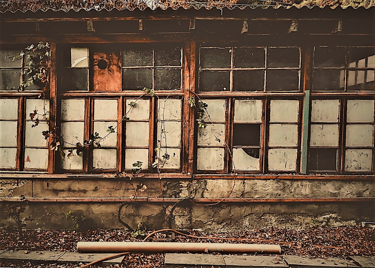 Фото автора Kerimli Temkin: Pexels