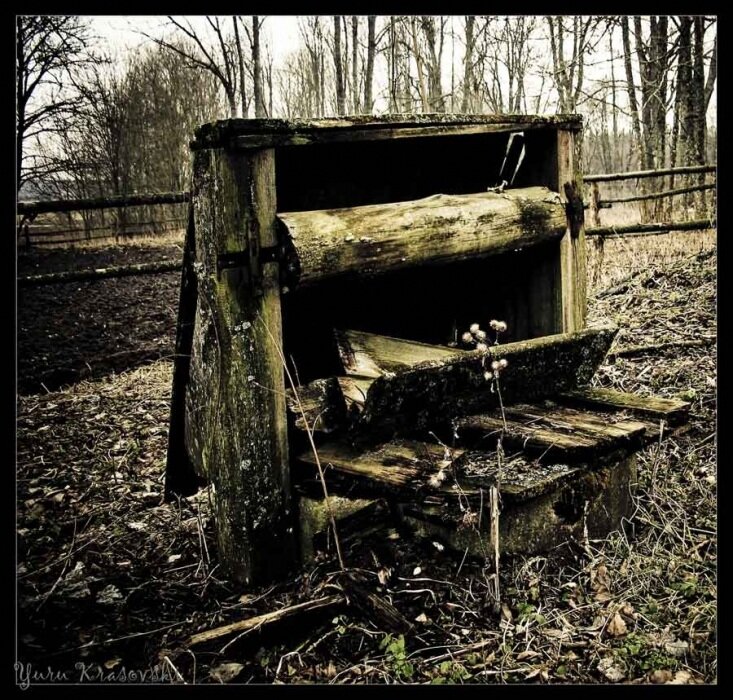 Яндекс картинки, для демонстрации