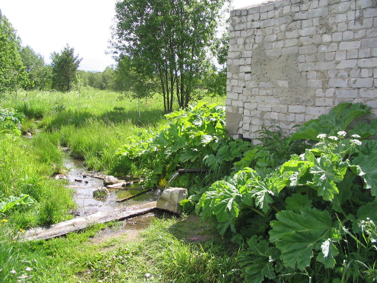 2004 год