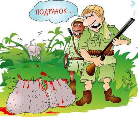 Фото с сайта: https://www.google.com