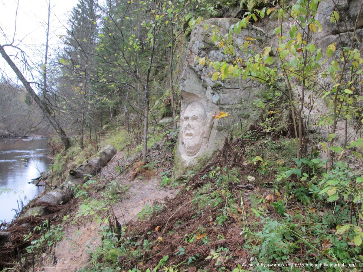 Мшинская ленинградская область лужский. Толмачево Лужский район. Пист Мшинская. Населинея Мшинской. Родник Толмачево Лужский.