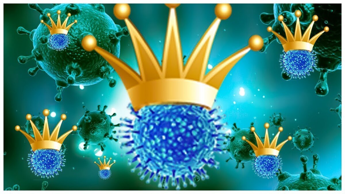 Фото из интернета