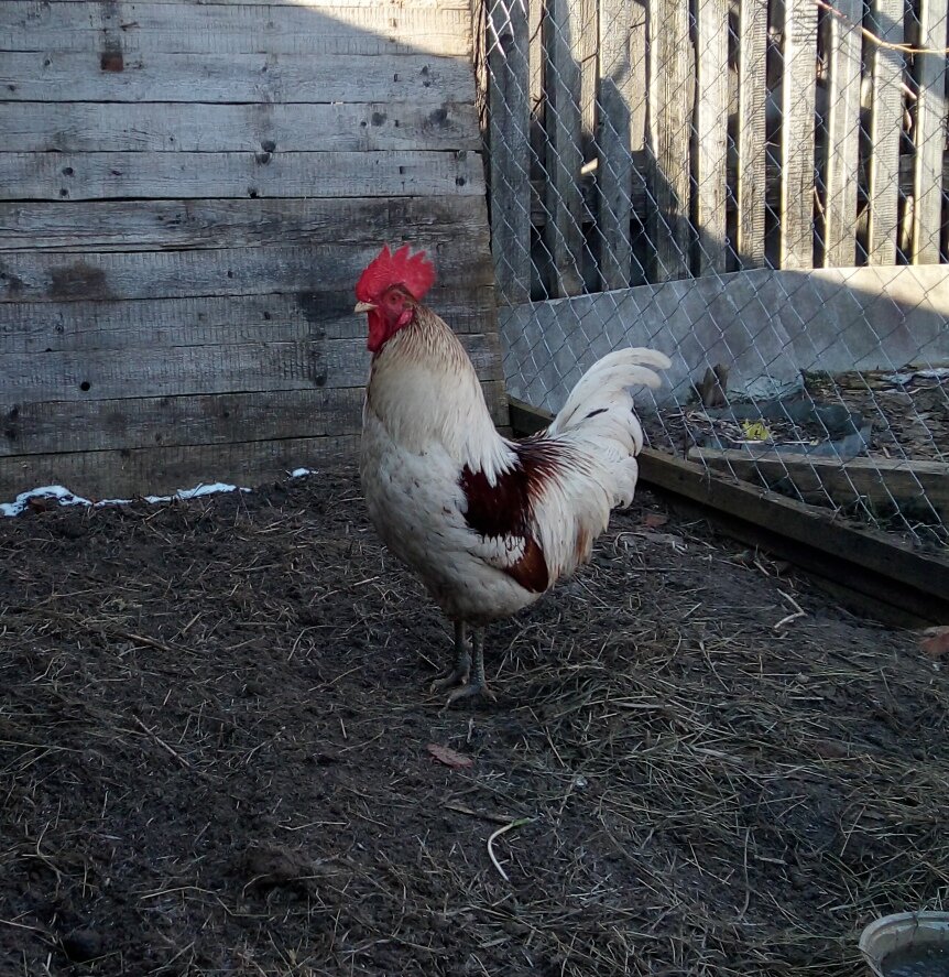 Будет жалко ели он не одумается(((