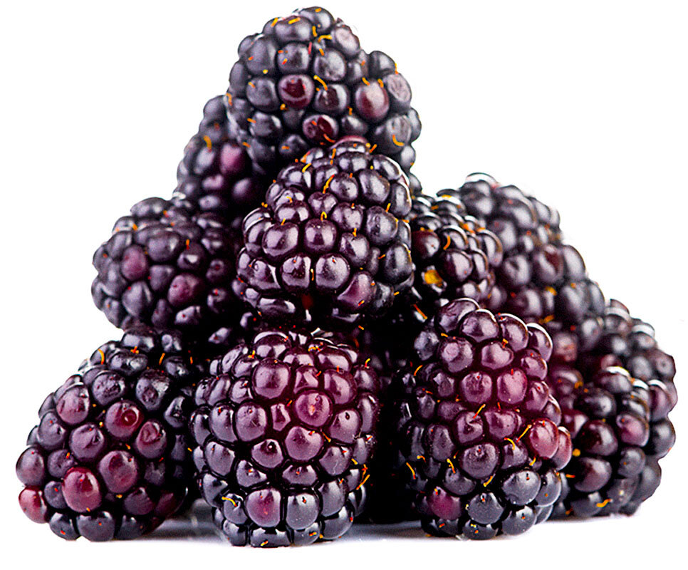 Бойсенберри