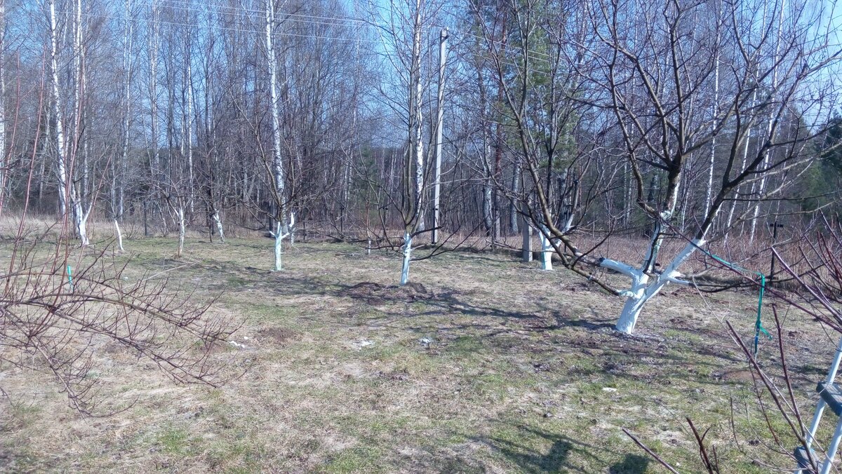 фото из личного архива.