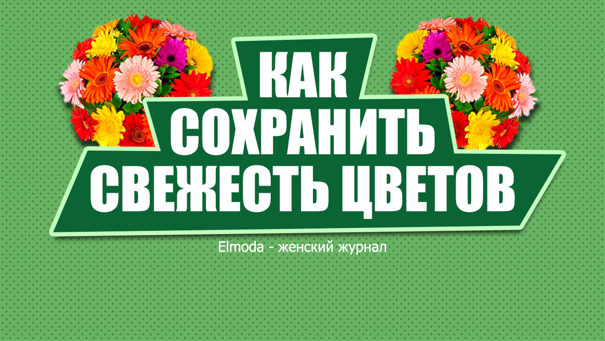 10 советов, как сохранить свежесть цветов