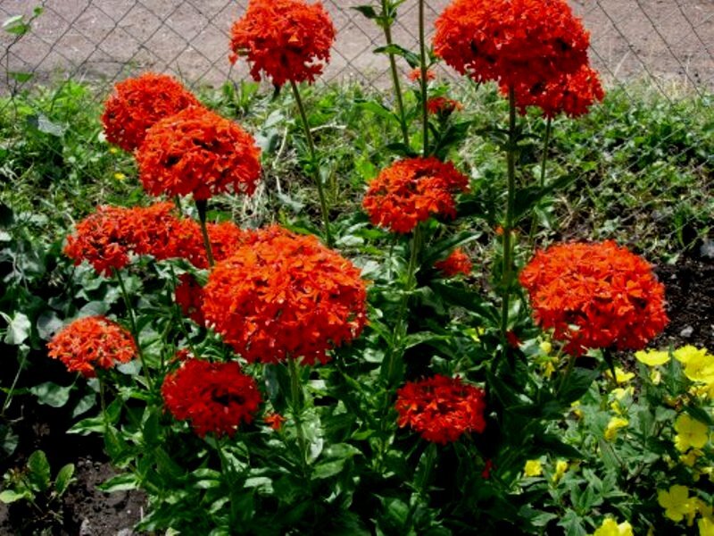 Источник фото: uka-vrn.ru