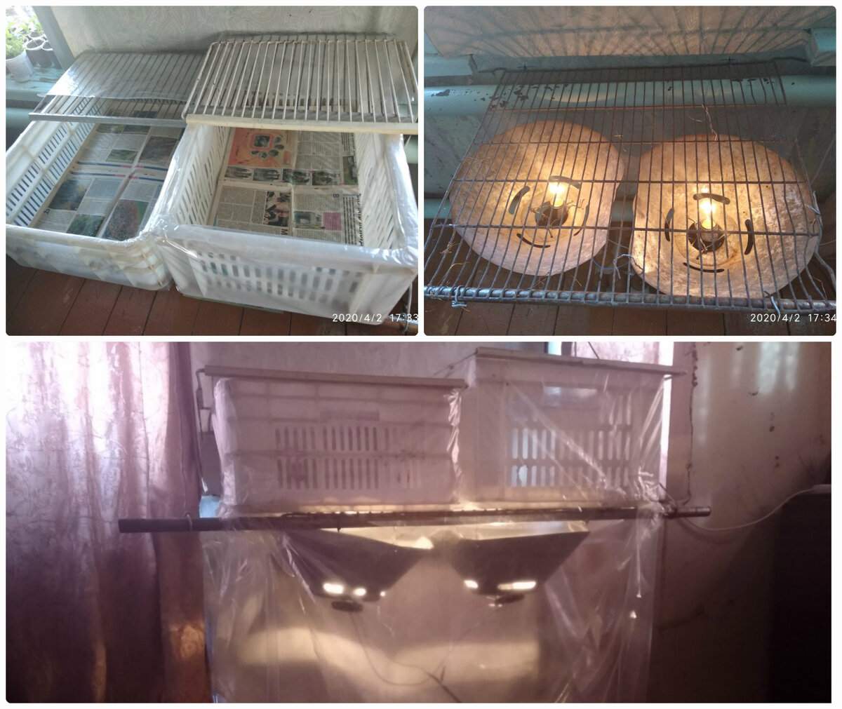 Подготовка места для бройлеров