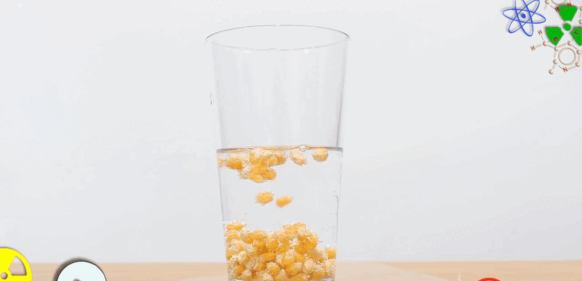 Видео взято из открытого источника